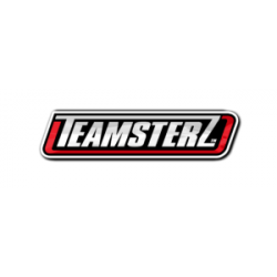 Teamsterz