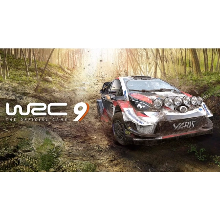 Wrc 9 FIA World Rally Championship Gra
