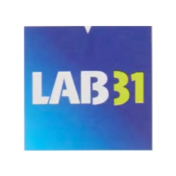 LAB31