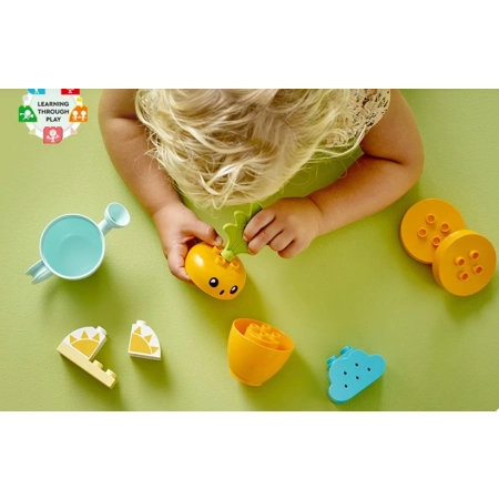 LEGO Duplo Rosnąca marchewka 10981 Klocki