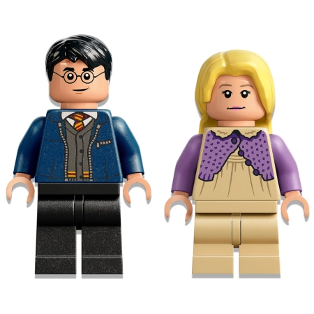 LEGO Harry Potter Testrale i kareta z Hogwar 76400