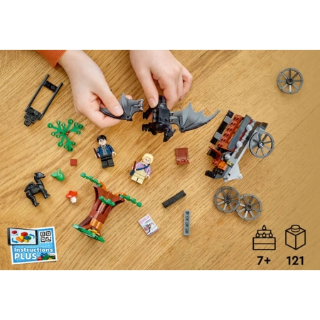 LEGO Harry Potter Testrale i kareta z Hogwar 76400
