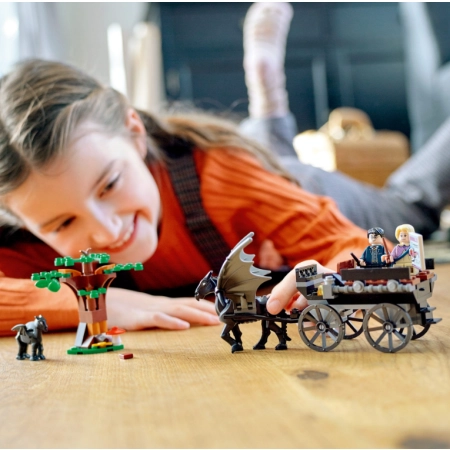 LEGO Harry Potter Testrale i kareta z Hogwar 76400