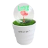 Neon LOVE Dekoracja dla zakochanych Lampka Plazmowa ozdoba Smukee